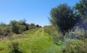 16 ha. en Zona Rural Colón